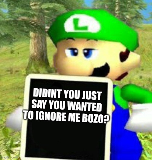 Luigi holding a sign | DIDINT YOU JUST SAY YOU WANTED TO IGNORE ME BOZO? | image tagged in luigi holding a sign | made w/ Imgflip meme maker