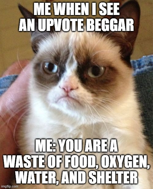 Imgflip deserves better than upvote beggars | ME WHEN I SEE AN UPVOTE BEGGAR; ME: YOU ARE A WASTE OF FOOD, OXYGEN, WATER, AND SHELTER | image tagged in memes,grumpy cat,leave imgflip upvote beggars,relatable | made w/ Imgflip meme maker