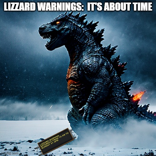 lizzard warning Saturday | LIZZARD WARNINGS:  IT'S ABOUT TIME | image tagged in funny | made w/ Imgflip meme maker