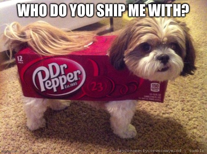 Dr Pepper Costume | WHO DO YOU SHIP ME WITH? | image tagged in dr pepper costume | made w/ Imgflip meme maker