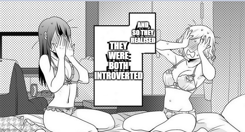 Both Bottoms | AND SO THEY REALISED; THEY WERE BOTH INTROVERTED | image tagged in both bottoms | made w/ Imgflip meme maker