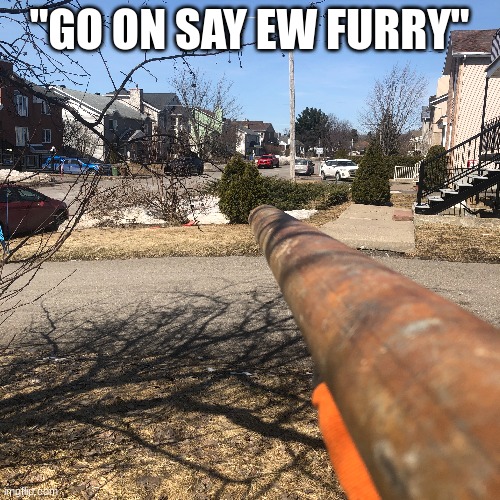 "GO ON SAY EW FURRY" | made w/ Imgflip meme maker