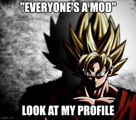 Goku stare | "EVERYONE'S A MOD"; LOOK AT MY PROFILE | image tagged in goku stare | made w/ Imgflip meme maker