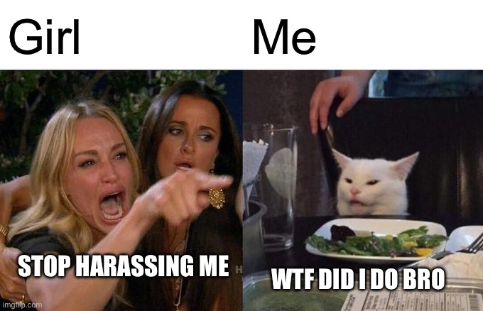 Women | Girl; Me; STOP HARASSING ME; WTF DID I DO BRO | image tagged in memes,woman yelling at cat | made w/ Imgflip meme maker