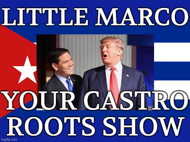 LITTLE MARCO'S LOVE FOR DICK-TATORS | LITTLE MARCO; YOUR CASTRO ROOTS SHOW | image tagged in marco rubio,trump,fidel castro,cuba,xenophobia,dictator | made w/ Imgflip meme maker