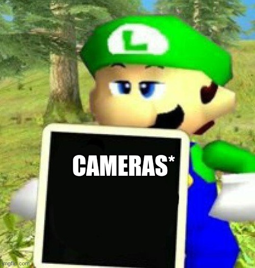 Luigi holding a sign | CAMERAS* | image tagged in luigi holding a sign | made w/ Imgflip meme maker