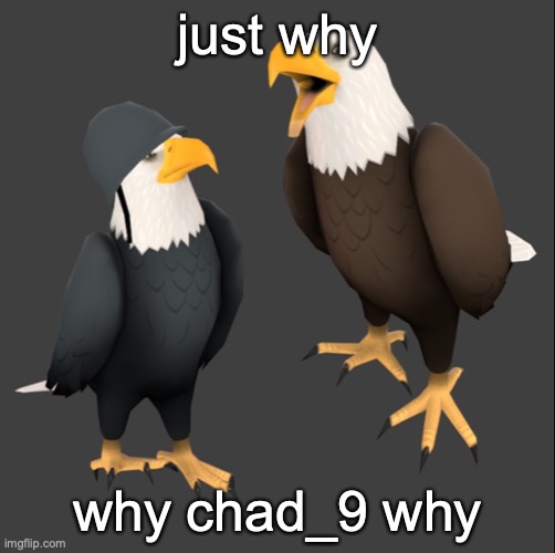 tf2 eagles | just why; why chad_9 why | image tagged in tf2 eagles | made w/ Imgflip meme maker