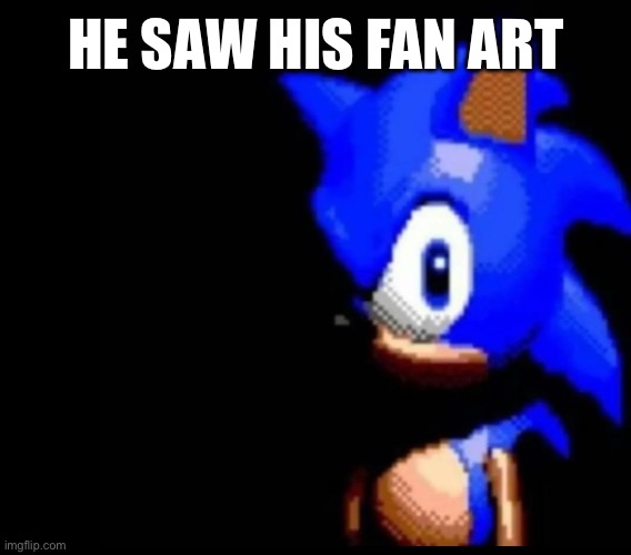 Sonic stares | HE SAW HIS FAN ART | image tagged in sonic stares | made w/ Imgflip meme maker
