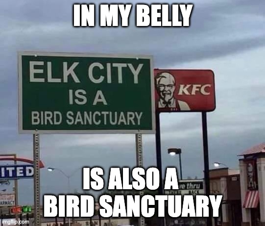Bird Sanctuary | IN MY BELLY; IS ALSO A 
BIRD SANCTUARY | image tagged in hungry,animal rights,kfc | made w/ Imgflip meme maker
