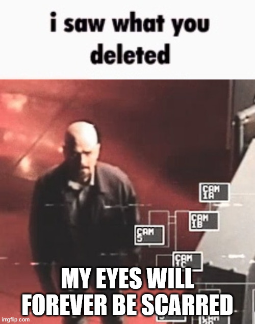 to silly_neko | MY EYES WILL FOREVER BE SCARRED | image tagged in i saw what you deleted | made w/ Imgflip meme maker