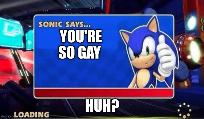 Sonic Says | YOU'RE SO GAY; HUH? | image tagged in sonic says | made w/ Imgflip meme maker