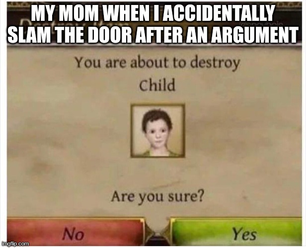 my mom: | MY MOM WHEN I ACCIDENTALLY SLAM THE DOOR AFTER AN ARGUMENT | image tagged in you are about to destroy child | made w/ Imgflip meme maker