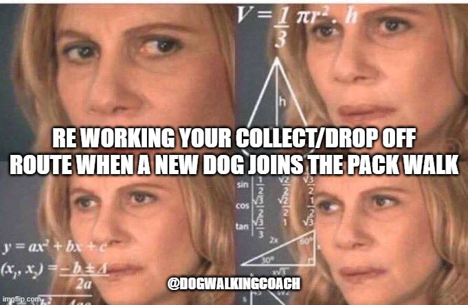 Math lady/Confused lady | RE WORKING YOUR COLLECT/DROP OFF ROUTE WHEN A NEW DOG JOINS THE PACK WALK; @DOGWALKINGCOACH | image tagged in math lady/confused lady | made w/ Imgflip meme maker