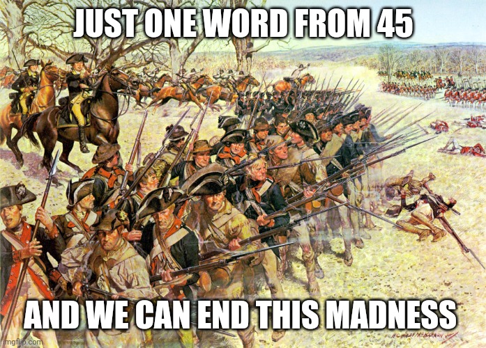 At your service | JUST ONE WORD FROM 45; AND WE CAN END THIS MADNESS | image tagged in us revolutionaries | made w/ Imgflip meme maker