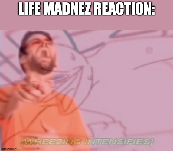 LIFE MADNEZ REACTION: | made w/ Imgflip meme maker