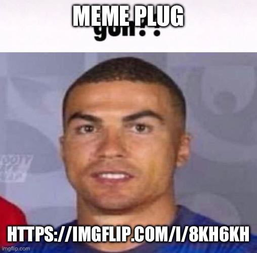 guh?? | MEME PLUG; HTTPS://IMGFLIP.COM/I/8KH6KH | image tagged in guh | made w/ Imgflip meme maker