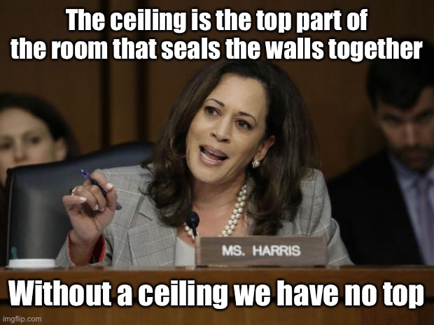 Kamala Harris | The ceiling is the top part of the room that seals the walls together Without a ceiling we have no top | image tagged in kamala harris | made w/ Imgflip meme maker