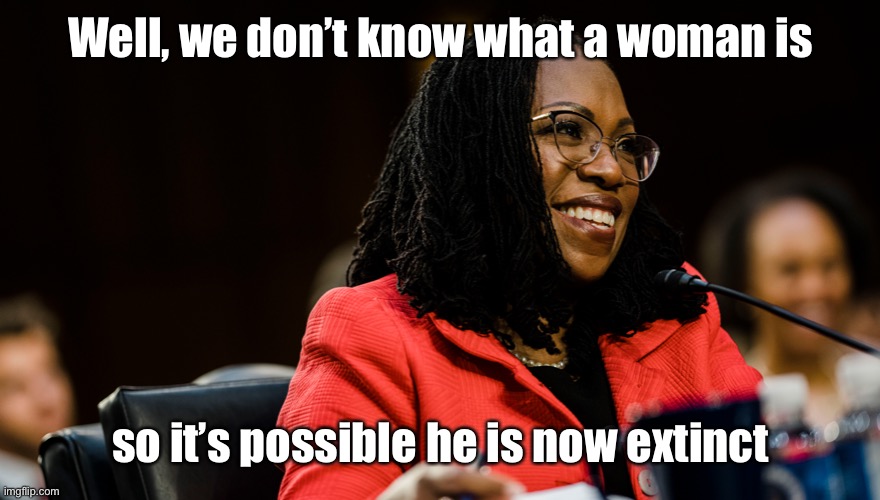 Supreme Court | Well, we don’t know what a woman is so it’s possible he is now extinct | image tagged in supreme court | made w/ Imgflip meme maker