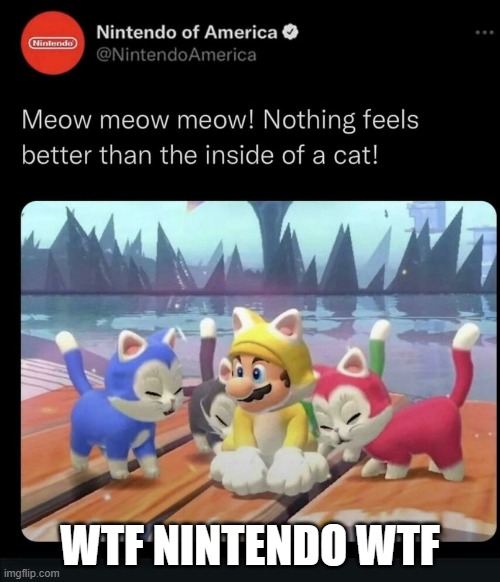 memes by Brad What is Nintendo trying to do? | WTF NINTENDO WTF | image tagged in gaming,funny,nintendo,pc gaming,computer games,video games | made w/ Imgflip meme maker