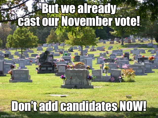 cemetery | But we already cast our November vote! Don’t add candidates NOW! | image tagged in cemetery | made w/ Imgflip meme maker