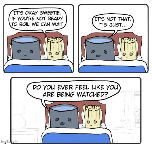 Being Watched | image tagged in comics | made w/ Imgflip meme maker