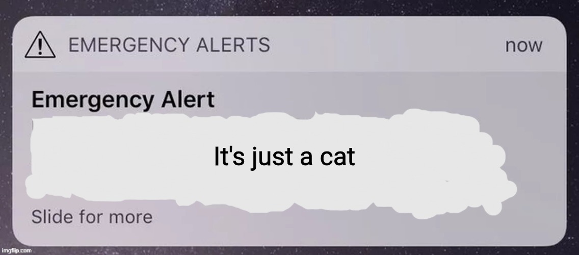 Custom False Alarm | It's just a cat | image tagged in custom false alarm | made w/ Imgflip meme maker