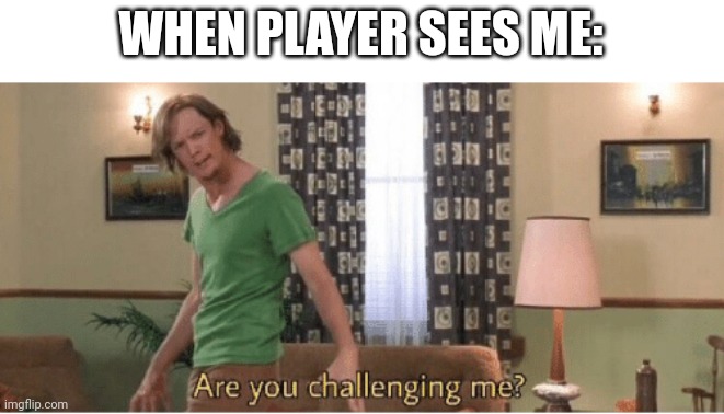 are you challenging me | WHEN PLAYER SEES ME: | image tagged in are you challenging me | made w/ Imgflip meme maker