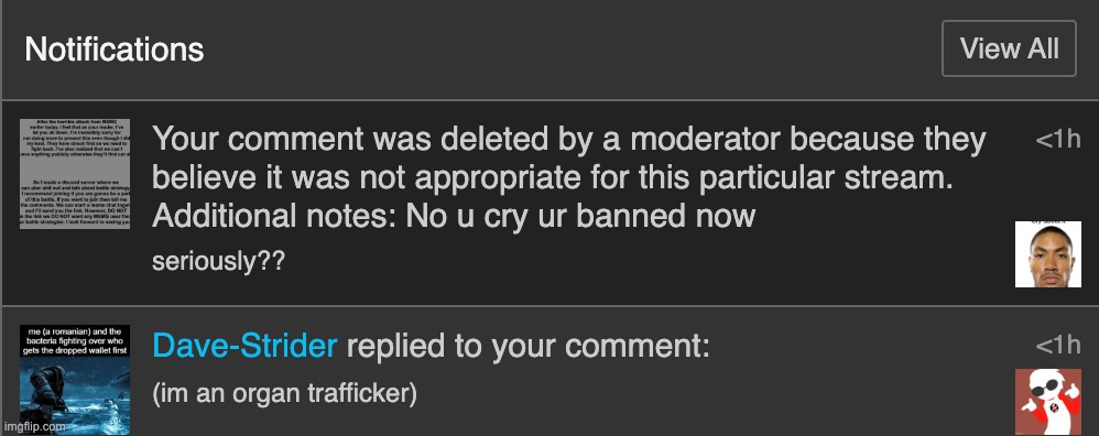 the mod abuse is real. ig im banned for the anti upvote beggars stream now, idrc its not like im posting there | made w/ Imgflip meme maker