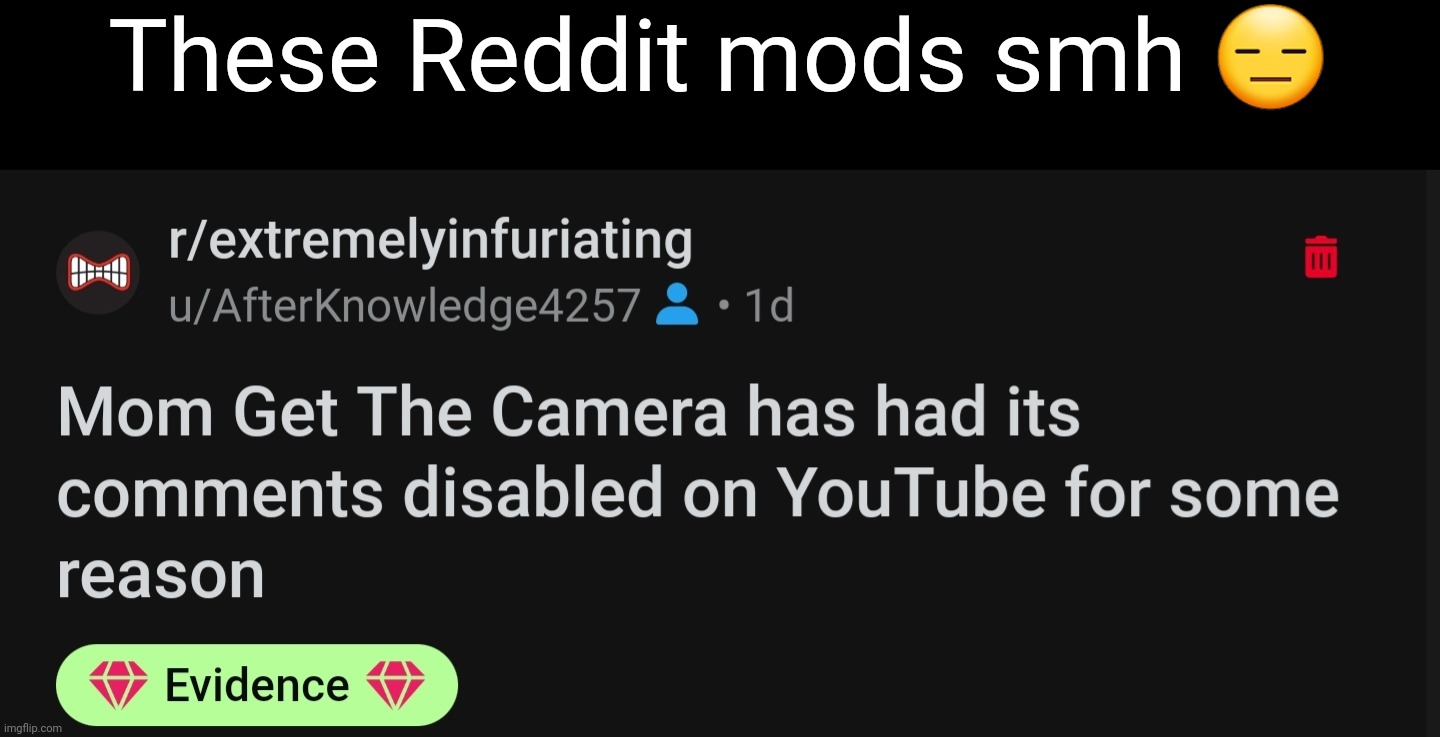 WHY?!?? | These Reddit mods smh 😑 | image tagged in reddit | made w/ Imgflip meme maker