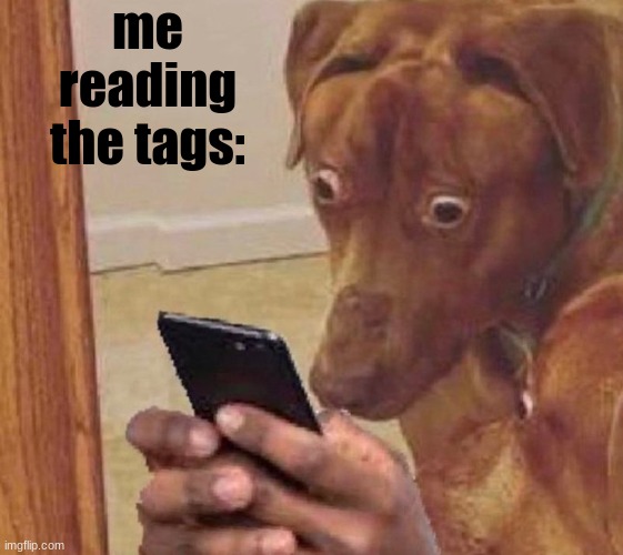shocked dog | me reading the tags: | image tagged in shocked dog | made w/ Imgflip meme maker