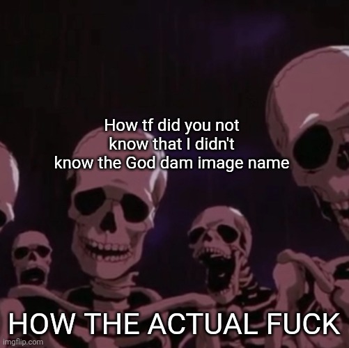 How tf did you not know that I didn't know the God dam image name HOW THE ACTUAL FUCK | image tagged in roasting skeletons | made w/ Imgflip meme maker