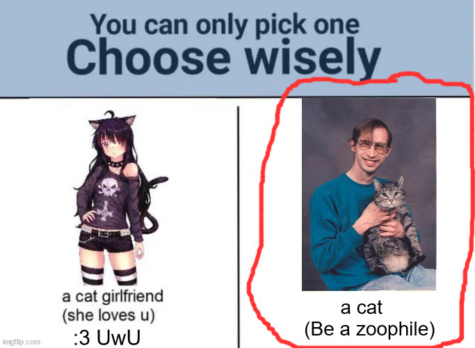 IT'S A /J | a cat  
 (Be a zoophile); :3 UwU | image tagged in choose wisely | made w/ Imgflip meme maker