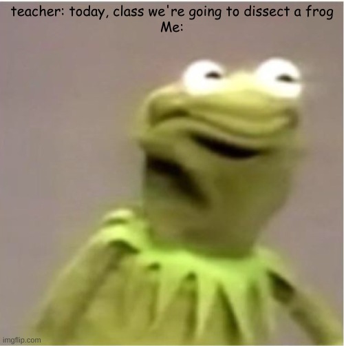 Kirmit Triggerd | teacher: today, class we're going to dissect a frog
Me: | image tagged in kirmit triggerd | made w/ Imgflip meme maker