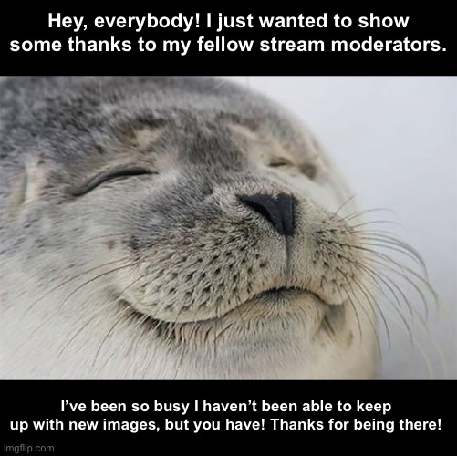 Thank you, guys! | Hey, everybody! I just wanted to show some thanks to my fellow stream moderators. I’ve been so busy I haven’t been able to keep up with new images, but you have! Thanks for being there! | image tagged in memes,satisfied seal | made w/ Imgflip meme maker
