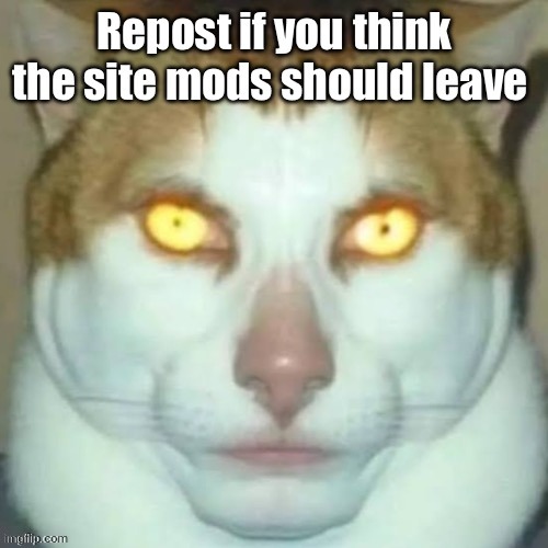 Seriously | made w/ Imgflip meme maker