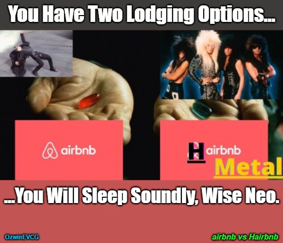 airbnb vs Hairbnb [NV] | You Have Two Lodging Options... ...You Will Sleep Soundly, Wise Neo. airbnb vs Hairbnb; OzwinEVCG | image tagged in welcome to the matrix,hair metal,blue or red pill,1980s,lodging,decisions | made w/ Imgflip meme maker