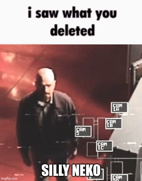 i saw what you deleted | SILLY NEKO | image tagged in i saw what you deleted | made w/ Imgflip meme maker