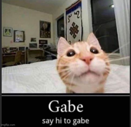 Gabe | image tagged in gabe | made w/ Imgflip meme maker