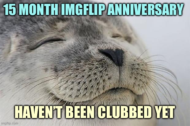 Satisfied Seal Meme | 15 MONTH IMGFLIP ANNIVERSARY; HAVEN’T BEEN CLUBBED YET | image tagged in memes,satisfied seal | made w/ Imgflip meme maker
