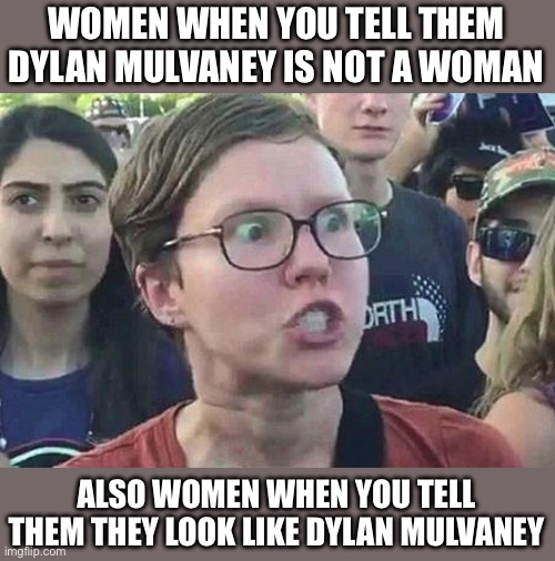 Triggered Liberal | WOMEN WHEN YOU TELL THEM DYLAN MULVANEY IS NOT A WOMAN; ALSO WOMEN WHEN YOU TELL THEM THEY LOOK LIKE DYLAN MULVANEY | image tagged in triggered liberal,bud light | made w/ Imgflip meme maker