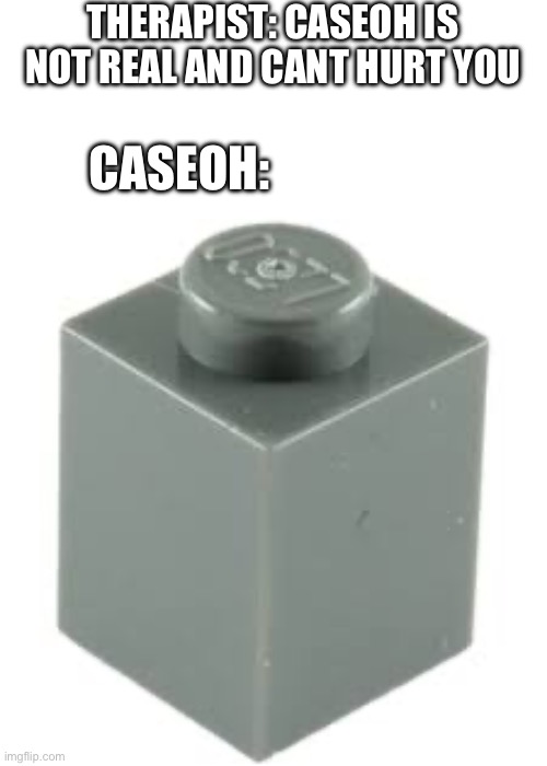 1x1 lego piece | THERAPIST: CASEOH IS NOT REAL AND CANT HURT YOU; CASEOH: | image tagged in 1x1 lego piece,caseoh | made w/ Imgflip meme maker