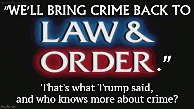 Those are Trump's words, and he make less sense every day. | "WE'LL BRING CRIME BACK TO; ."; That's what Trump said, and who knows more about crime? | image tagged in trump,crime,law and order,felony,criminal | made w/ Imgflip meme maker