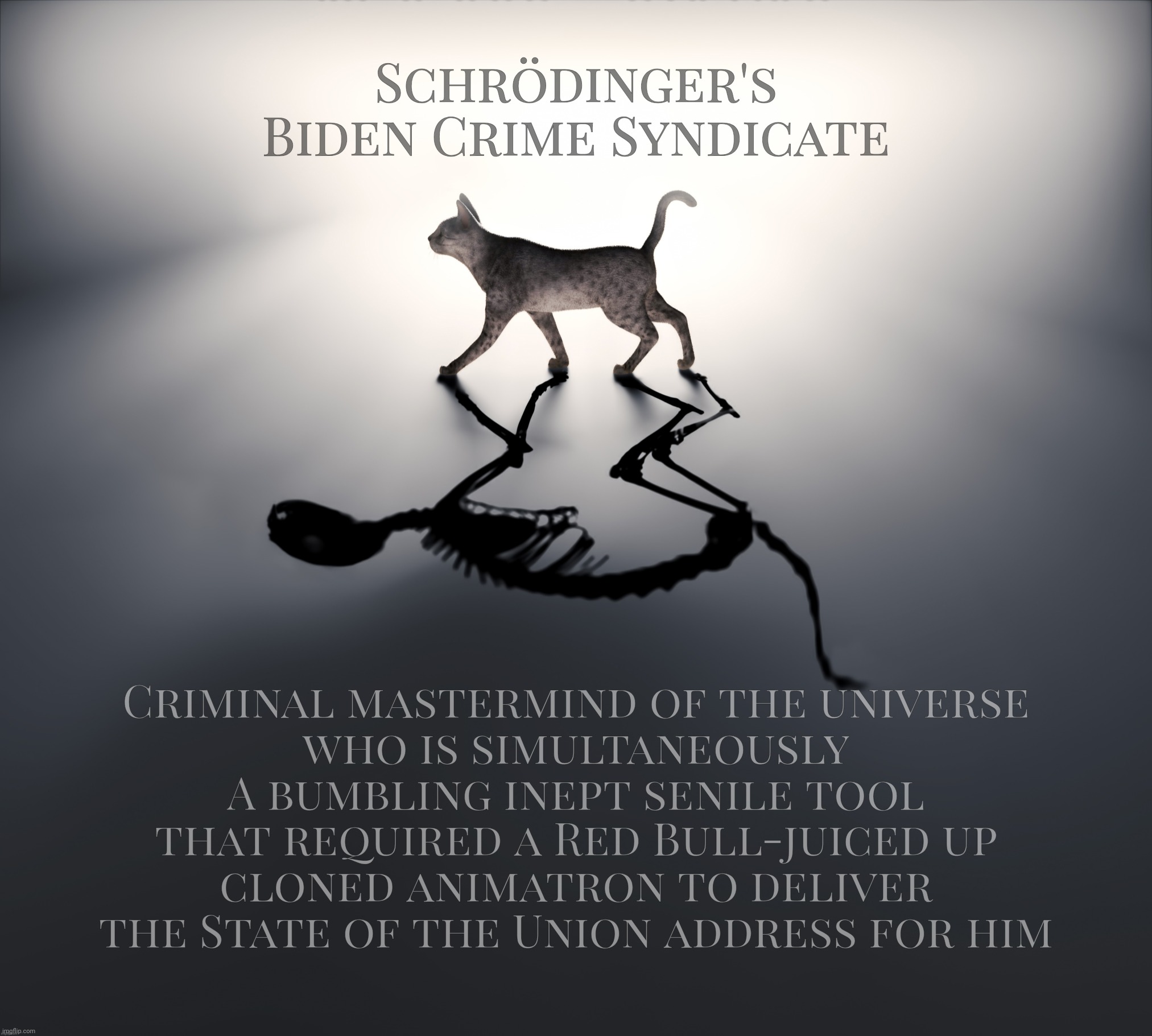 Schrödinger's Biden Crime Syndicate | Schrödinger's
Biden Crime Syndicate Criminal mastermind of the universe
who is simultaneously
A bumbling inept senile tool
that required a R | image tagged in schr dinger's cat,biden,joe biden,criminal mastermind,bumbling puppet,both at the same time | made w/ Imgflip meme maker