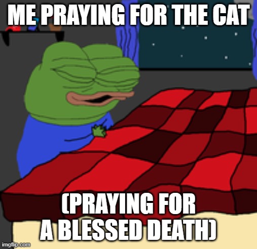 Praying Pepe | ME PRAYING FOR THE CAT; (PRAYING FOR A BLESSED DEATH) | image tagged in praying pepe | made w/ Imgflip meme maker