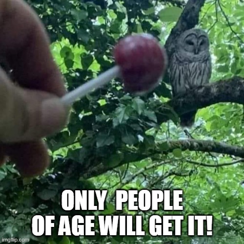 Only people of age will get it! | ONLY  PEOPLE OF AGE WILL GET IT! | image tagged in tootsie roll,funny,lollipop,commerical,owl | made w/ Imgflip meme maker