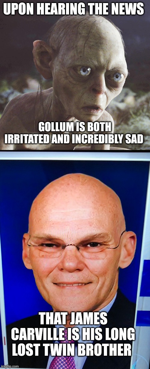 Gollum | UPON HEARING THE NEWS; GOLLUM IS BOTH IRRITATED AND INCREDIBLY SAD; THAT JAMES CARVILLE IS HIS LONG LOST TWIN BROTHER | image tagged in political meme | made w/ Imgflip meme maker