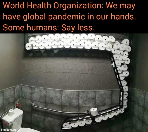 image tagged in world,health,organization,pandemic,toilet paper | made w/ Imgflip meme maker