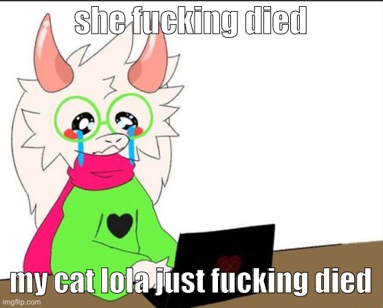 apparently her condition happens to a lot of young cats but still | she fucking died; my cat lola just fucking died | image tagged in i'm a lil' sad | made w/ Imgflip meme maker