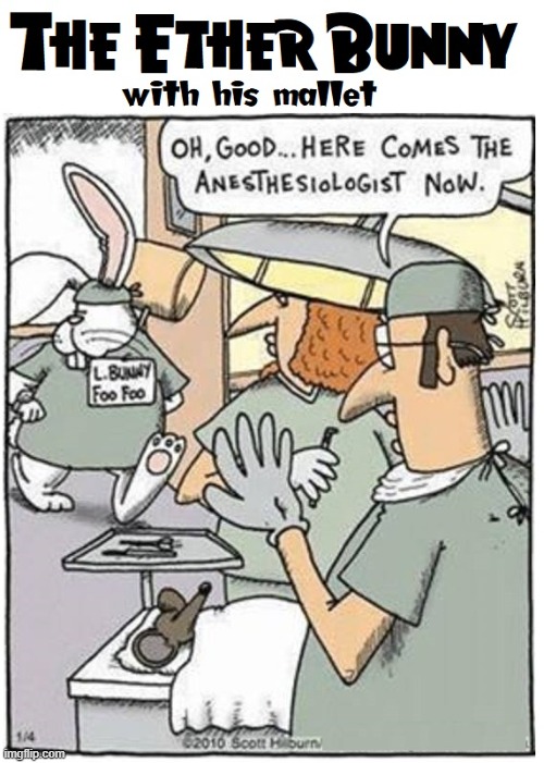 Anesthesiologist knocks out patients without harsh chemicals | image tagged in vince vance,easter bunny,happy easter,anesthesiologist,cartoons,ether | made w/ Imgflip meme maker