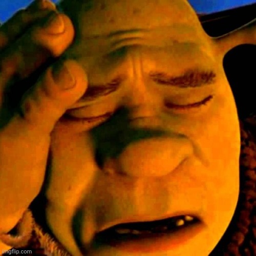 sad shrek | image tagged in sad shrek | made w/ Imgflip meme maker